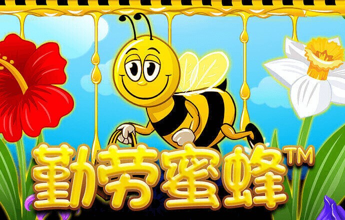a8体育直播app下载官网最新版